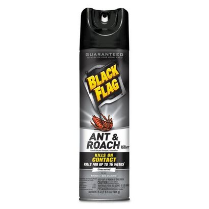 Buy Diversey Black Flag Ant & Roach Killer