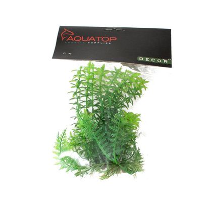 Buy Aquatop Anacharis Aquarium Plant - Green