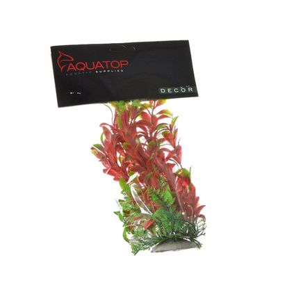 Buy Aquatop Hygro Aquarium Plant - Red & Green