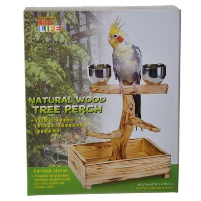 Buy Penn Plax Bird Life Natural Wood Tree Perch