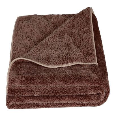 Buy E-Cloth Pets Cleaning And Drying Towel