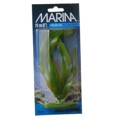 Buy Marina Jungle Val