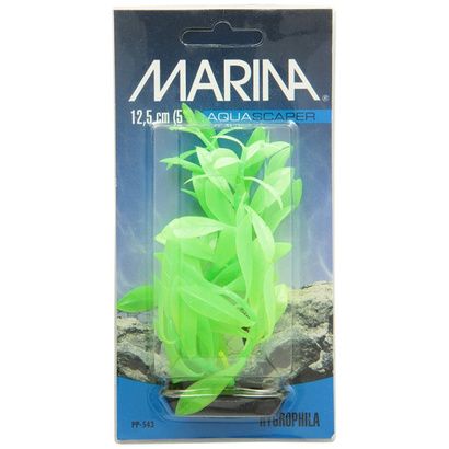 Buy Marina Vibrascaper Hygrophilia Plant - Green DayGlo