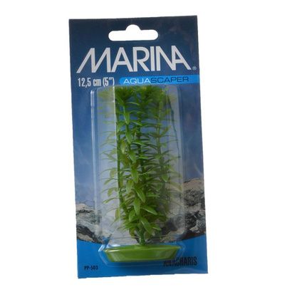 Buy Marina Aquascaper Anacharis Plant