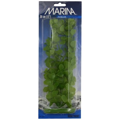 Buy Marina Aquascaper Moneywort Plant