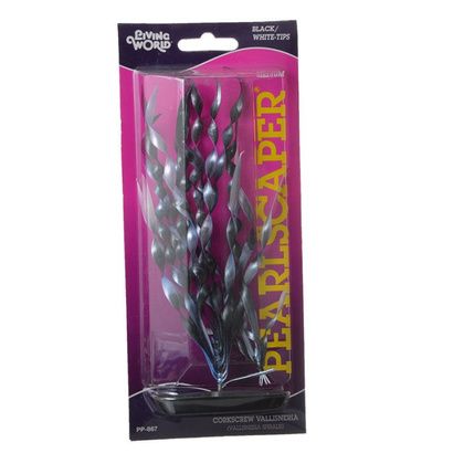 Buy Marina Pearlscaper Corkscrew Vallisneria Plant - Black with White Tips
