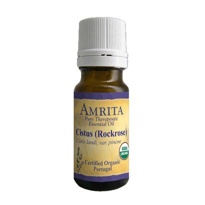Buy Amrita Aromatherapy Cistus Rockrose Essential Oil