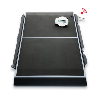 Buy Seca Electronic Platform Scale For Gurneys And Stretchers With Innovative Memory Function