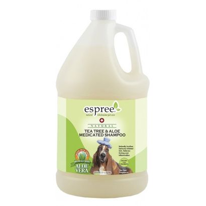 Buy Espree Tea Tree And Aloe Medicated Shampoo