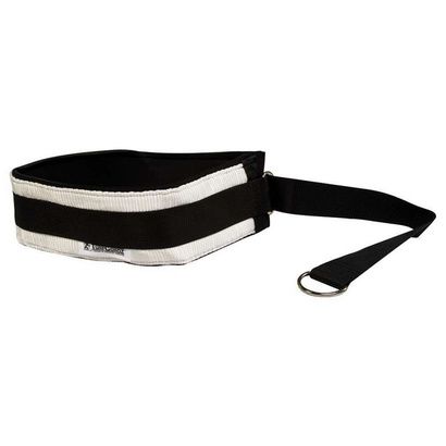Buy TurfCordz Pro Waist Belt Cinch Strap