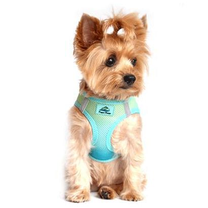 Buy Doggie Design Ombre Collection American River Choke Free Dog Harness