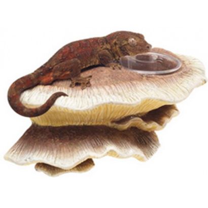 Buy Zilla Mushroom Feeding Ledge Reptile Decor
