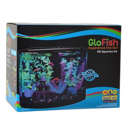 Buy GloFish Aquarium Kit with LED Lighting