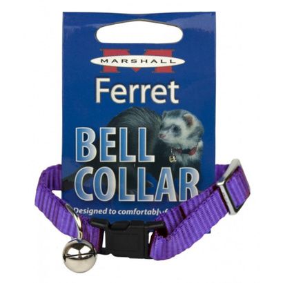 Buy Marshall Ferret Bell Collar - Purple