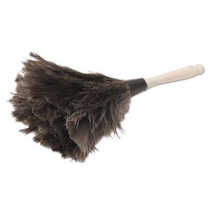 Buy Boardwalk Professional Ostrich Feather Duster