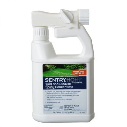 Buy Sentry Home Yard & Premise Insect Spray Concentrate