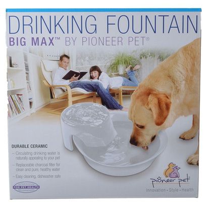 Buy Pioneer Big Max Ceramic Drinking Fountain - White