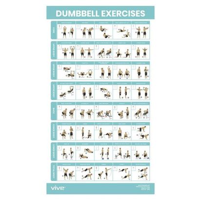 Buy Vive Dumbbell Workout Poster