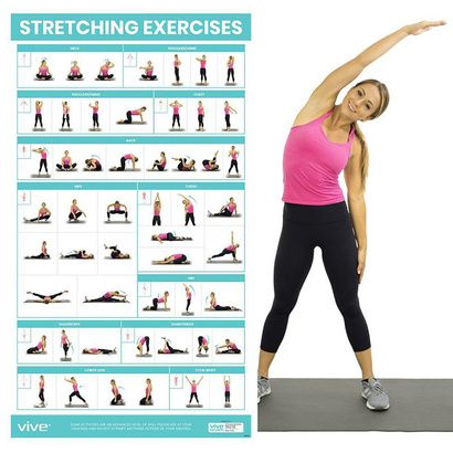 Buy Vive Stretching Workout Poster