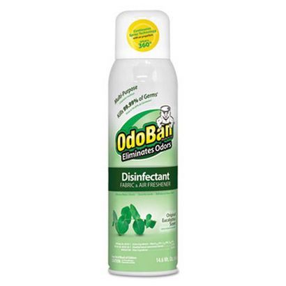 Buy OdoBan Ready-To-Use Disinfectant/Fabric & Air Freshener 360 Degrees Spray