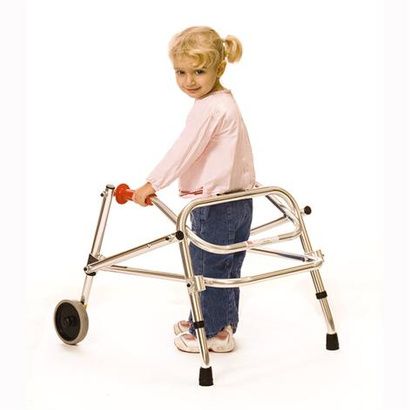 Buy Kaye Posture Control Two Wheel Walker