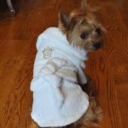 Buy Doggie Design White Cotton Dog Bathrobe