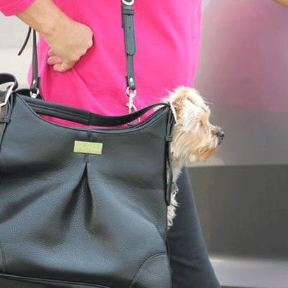 Buy Doggie Design Sadie Mia Michele Black Faux Pebble Leather Dog Carry Bag