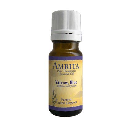 Buy Amrita Aromatherapy Blue Yarrow Essential Oil