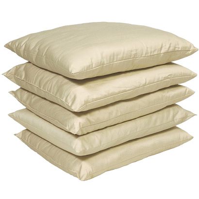 Buy Sleep and Beyond Organic Merino Wool Standard Pillow