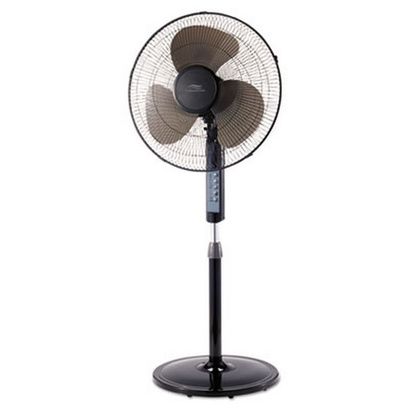 Buy Lakewood 16" Remote Control Stand Fan