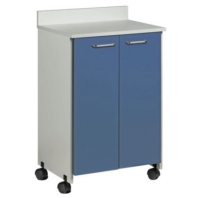 Buy Clinton Mobile Treatment Cabinet with Two Doors
