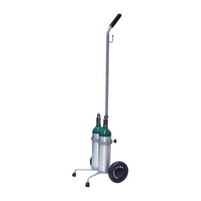 Buy Responsive Respiratory Dual M6 Cylinder Cart