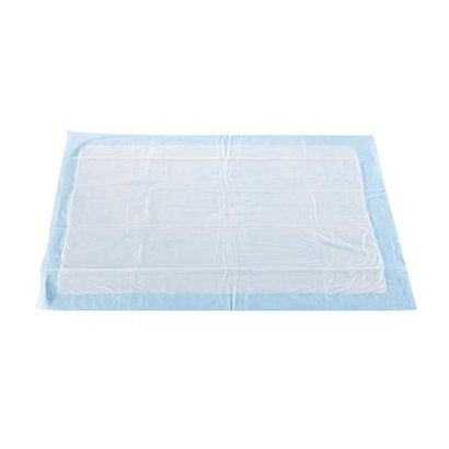 Buy Mckesson Ultra Lite Disposable Underpad - Light Absorbency