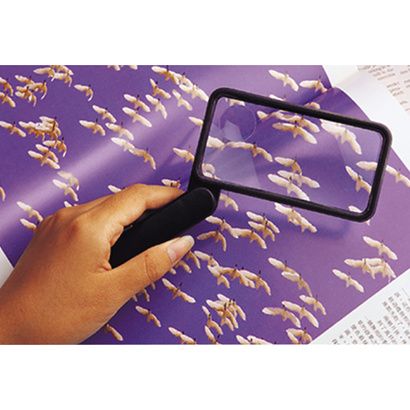 Buy Essential Medical Folding Rectangular Magnifier