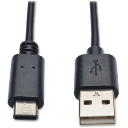 Buy Tripp Lite USB 2.0 Type-C Cable