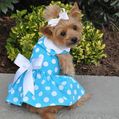Buy Doggie Design Blue Polka Dot Dog Dress With Matching Leash