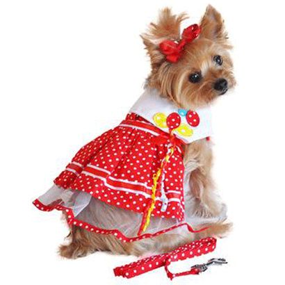 Buy Doggie Design Red Polka Dot Balloon Designer Dog Dress With Matching Leash