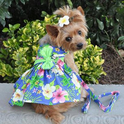 Buy Doggie Design Hawaiian Hibiscus Dog Dress With Matching Leash