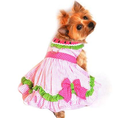Buy Doggie Design Watermelon Dog Dress