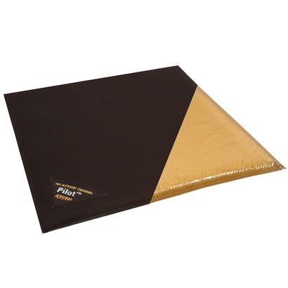 Buy Action Products Pilot Cushion