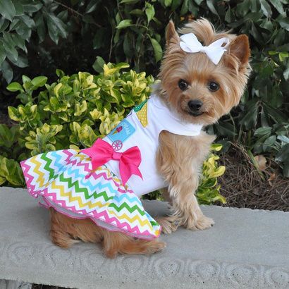 Buy Doggie Design Ice Cream Cart Dress With Matching Leash