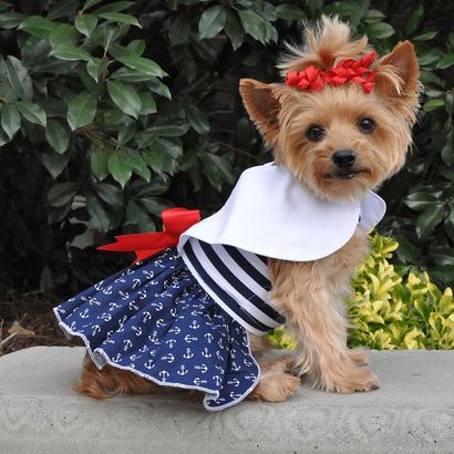 Buy Doggie Design Nautical Dog Dress With Matching Leash