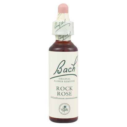 Buy Bachflower Rock Rose Homeopathic Drops