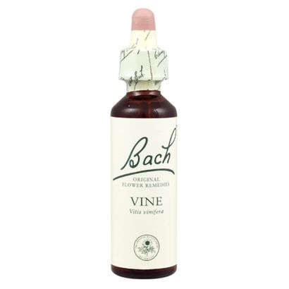 Buy Bachflower Vine Homeopathic Drops