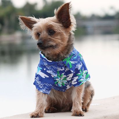 Buy Doggie Design Hawaiian Cotton Camp Shirt