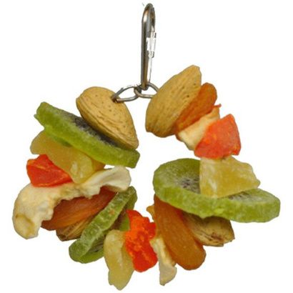 Buy AE Cage Company Happy Beaks Deluxe Fruit and Nut Ring Jr Tropical Delight