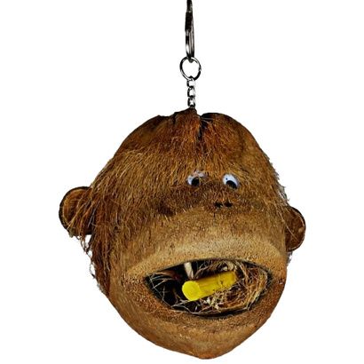 Buy AE Cage Company Happy Beaks Coco Monkey Head for Birds