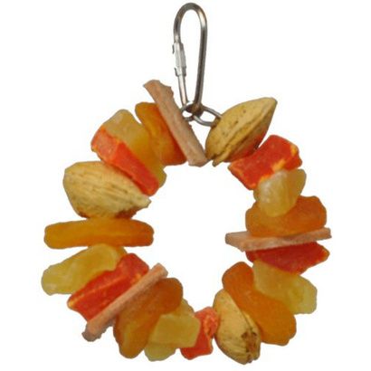 Buy AE Cage Company Happy Beaks Fruit and Nut Ring Jr Tropical Delight