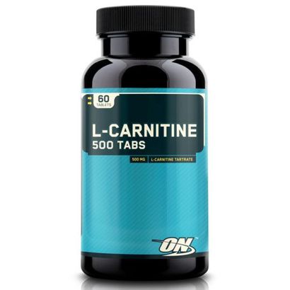 Buy Optimum Nutrition ON L-Carnitine Protein Dietary Supplement