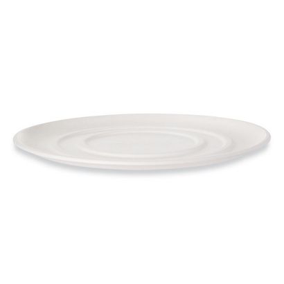 Buy Eco Products WorldView Sugarcane Pizza Trays